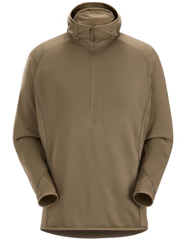 SUDADERA CON CAPUCHA Y CUELLO CON MEDIA CREMALLERA DELTA AR ARC'TERYX