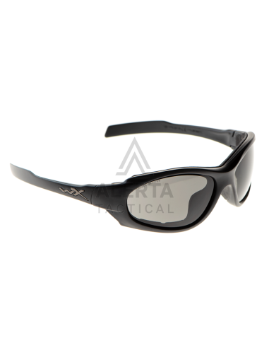 Gafas XL-1 Advanced Comm 2.5 Gris / Transparente / Óxido claro Wiley X