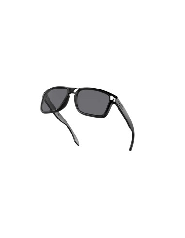 Gafas Oakley Elite Holbrook