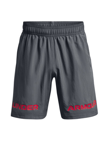 Pantalones Cortos Under Armour Graphic