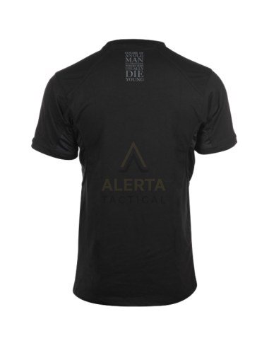 Camiseta Ragnar Vanir