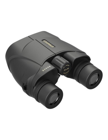 Prismático LEUPOLD BX-1 Rogue Compact - 10x25