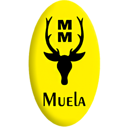 Muela